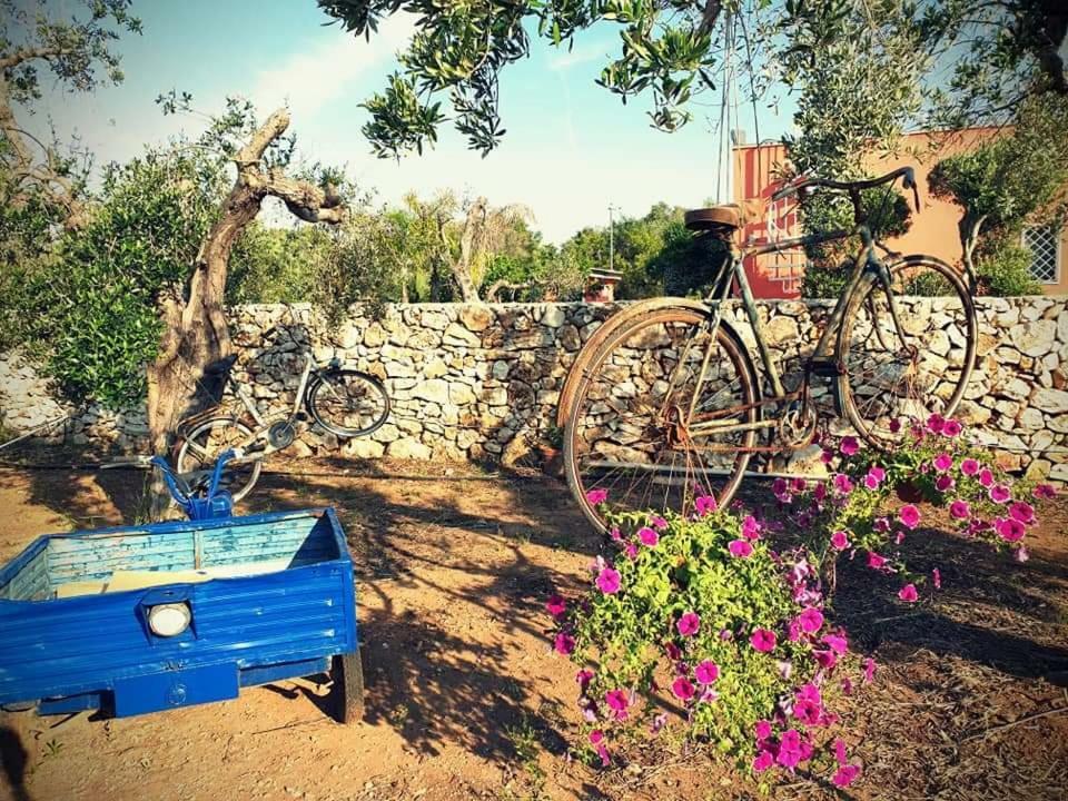 Oasi San Pio Porto Cesareo Exterior foto